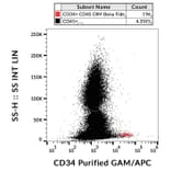 Flow Cytometry - Anti-CD34 Antibody [4H11[APG]] (A85518)