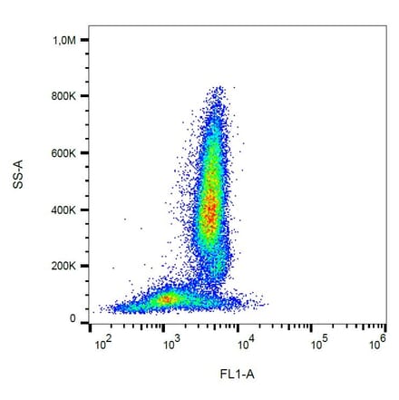Flow Cytometry - Anti-Fas Antibody [LT95] (FITC) (A85524)