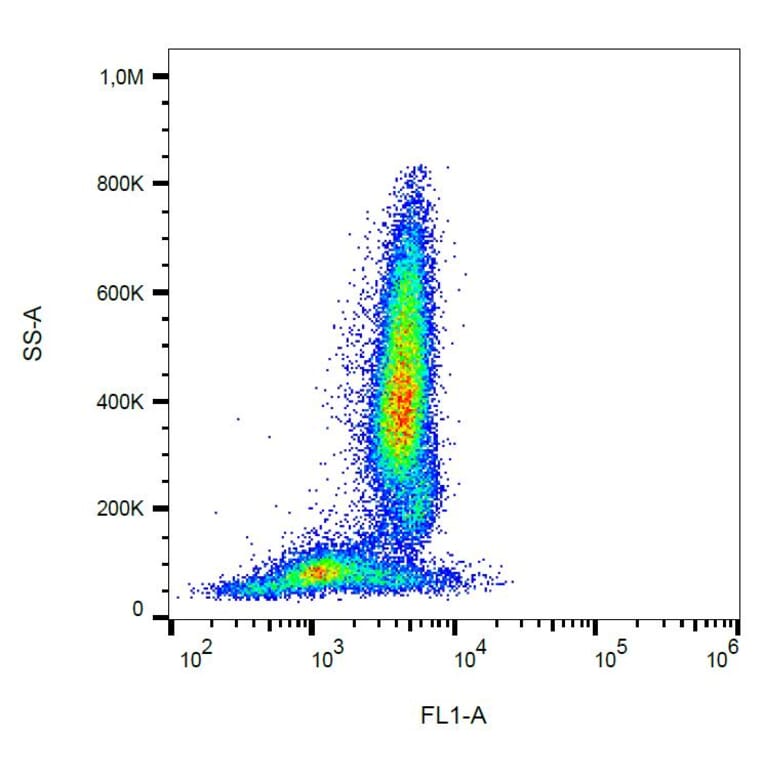 Flow Cytometry - Anti-CD95 Antibody [LT95] (FITC) (A85523) - Antibodies.com