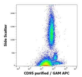 Flow Cytometry - Anti-Fas Antibody [LT95] (A85526)