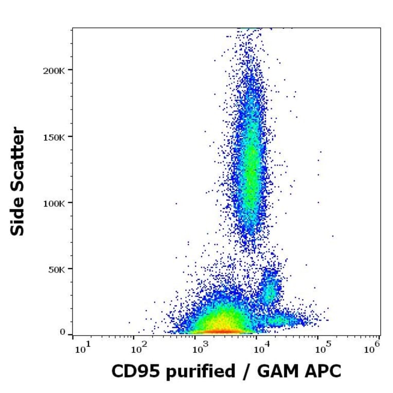 Flow Cytometry - Anti-Fas Antibody [LT95] (A85526)