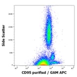 Flow Cytometry - Anti-Fas Antibody [LT95] (A85526)