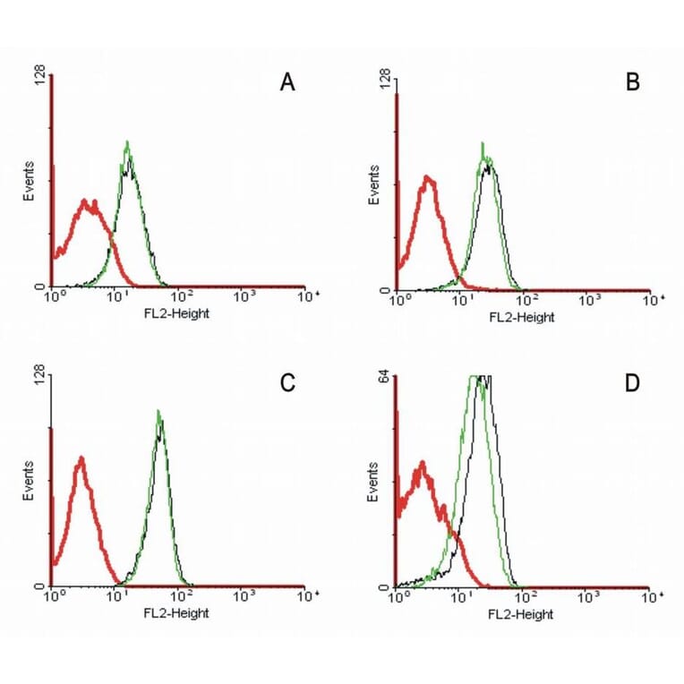 Flow Cytometry - Anti-Fas Antibody [LT95] (A85526)