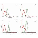 Flow Cytometry - Anti-Fas Antibody [LT95] (A85526)