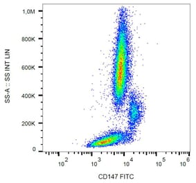 Flow Cytometry - Anti-CD147 Antibody [MEM-M6/1] (FITC) (A85527)