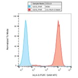 Flow Cytometry - Anti-HLA G Antibody [G233] (A85532)