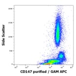 Flow Cytometry - Anti-CD147 Antibody [MEM-M6/2] (A85535)