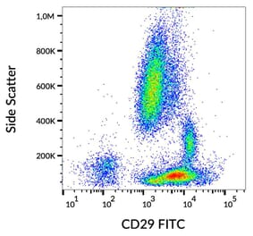 Flow Cytometry - Anti-Integrin beta 1 Antibody [MEM-101A] (FITC) (A85539)