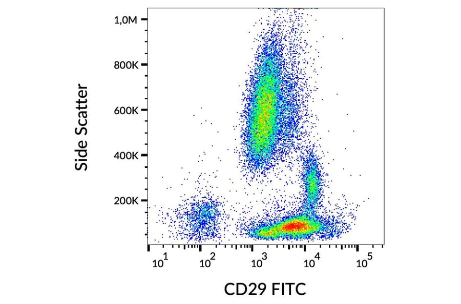 Flow Cytometry - Anti-Integrin beta 1 Antibody [MEM-101A] (FITC) (A85539)