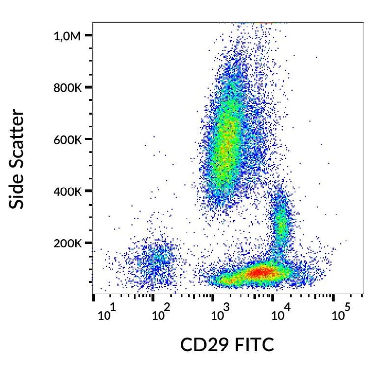 Flow Cytometry - Anti-Integrin beta 1 Antibody [MEM-101A] (FITC) (A85539)