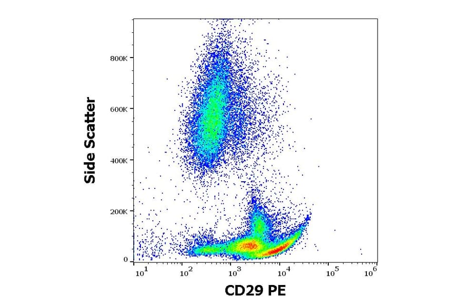 Flow Cytometry - Anti-Integrin beta 1 Antibody [MEM-101A] (PE) (A85540)