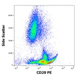 Flow Cytometry - Anti-Integrin beta 1 Antibody [MEM-101A] (PE) (A85540)