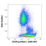 Flow Cytometry - Anti-Integrin beta 1 Antibody [MEM-101A] (A85541)