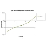 ELISA - Anti-beta 2 Microglobulin Antibody [B2M-01] (HRP) (A85543)