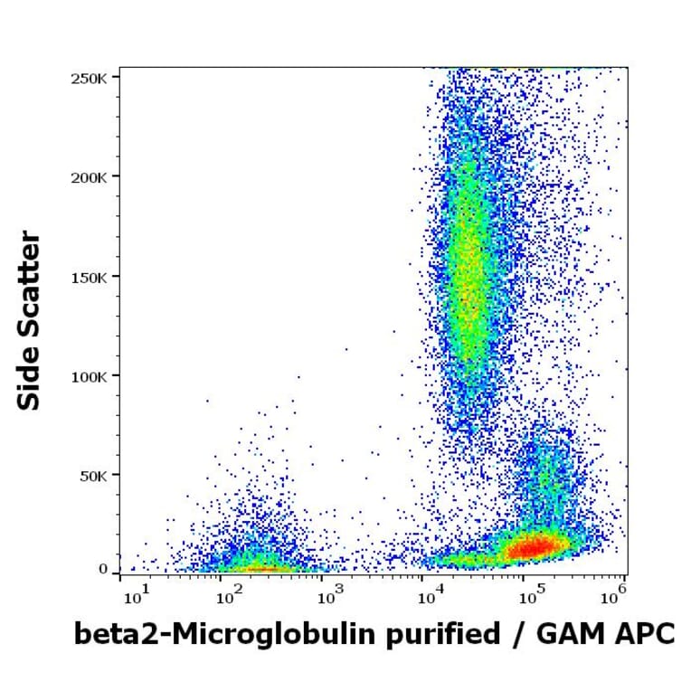 Flow Cytometry - Anti-beta 2 Microglobulin Antibody [B2M-01] (A85545)