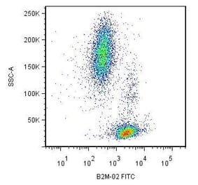 Flow Cytometry - Anti-beta 2 Microglobulin Antibody [B2M-02] (A85546)