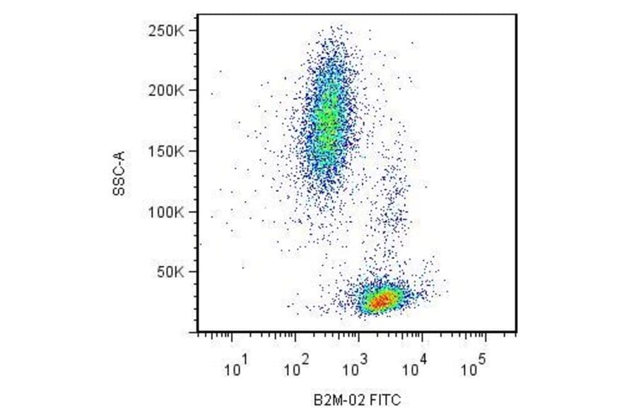 Flow Cytometry - Anti-beta 2 Microglobulin Antibody [B2M-02] (A85546)