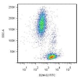 Flow Cytometry - Anti-beta 2 Microglobulin Antibody [B2M-02] (A85546)
