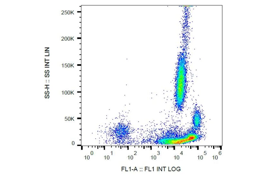 Flow Cytometry - Anti-beta 2 Microglobulin Antibody [B2M-01] (FITC) (A85549)