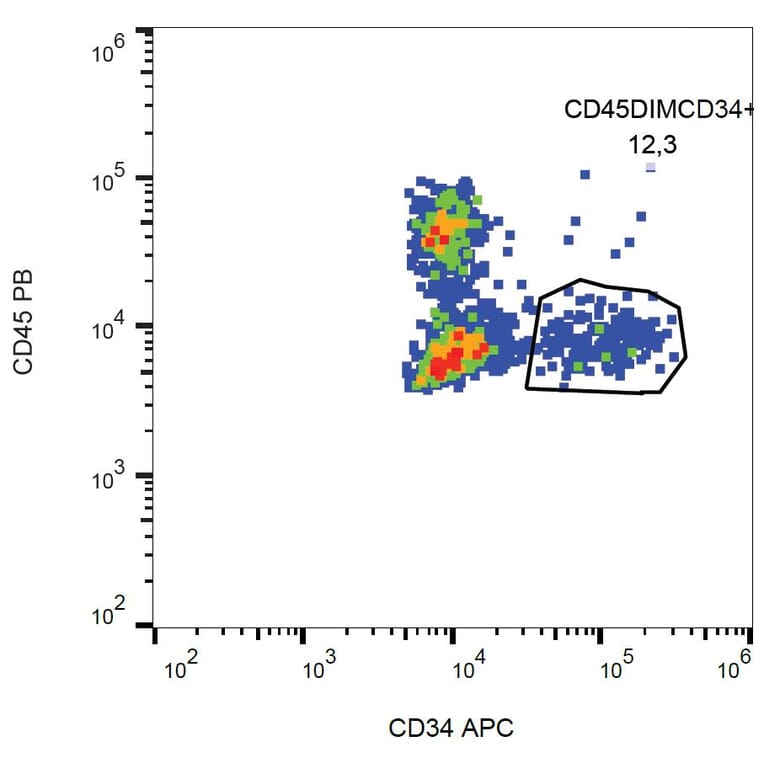 Flow Cytometry - Anti-CD34 Antibody [581] (APC) (A85554)