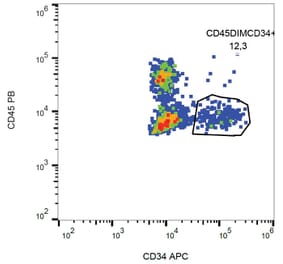 Flow Cytometry - Anti-CD34 Antibody [581] (APC) (A85553) - Antibodies.com