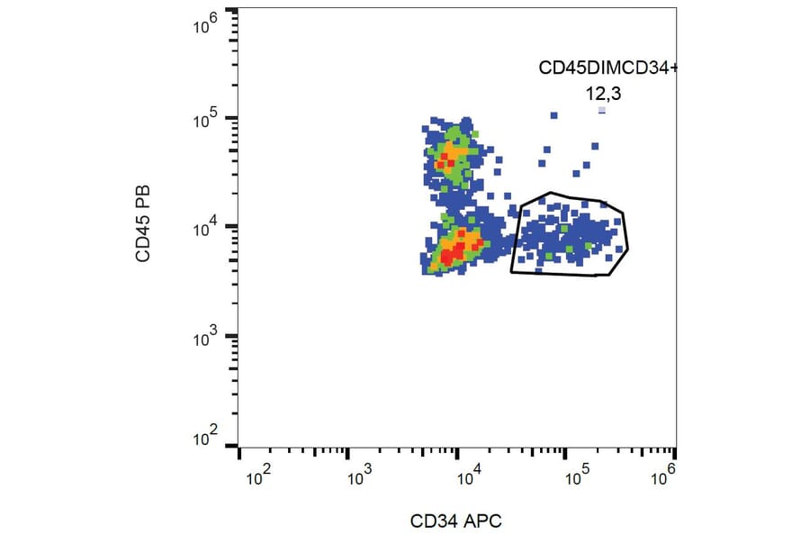Flow Cytometry - Anti-CD34 Antibody [581] (APC) (A85553) - Antibodies.com