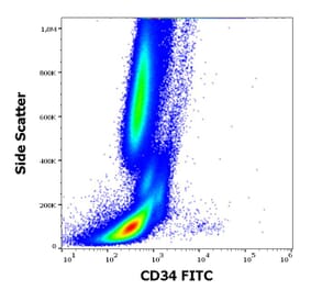 Flow Cytometry - Anti-CD34 Antibody [581] (FITC) (A85555)