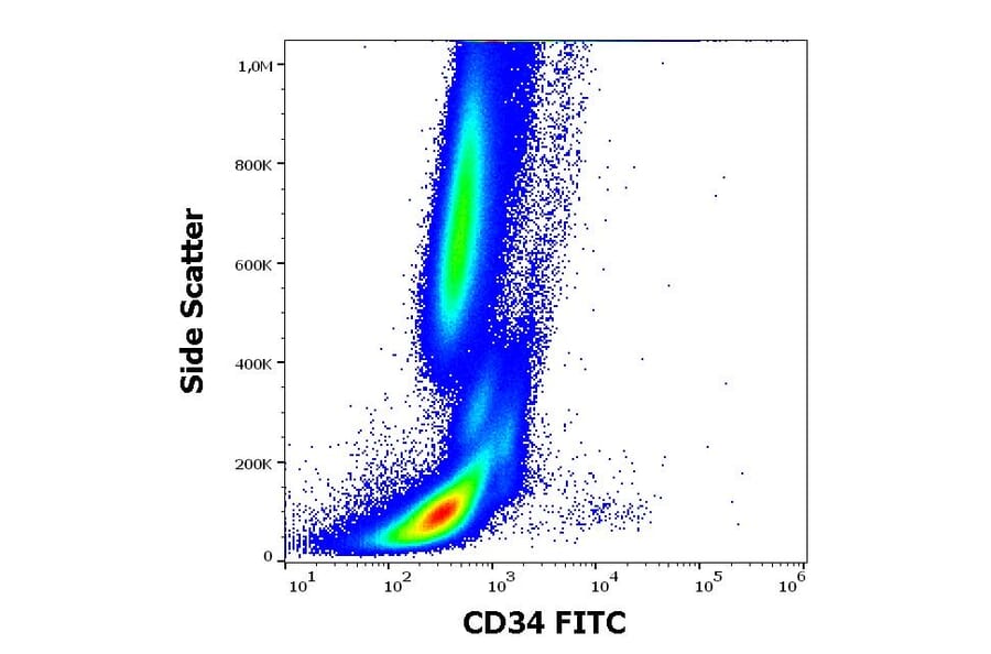 Flow Cytometry - Anti-CD34 Antibody [581] (FITC) (A85555)