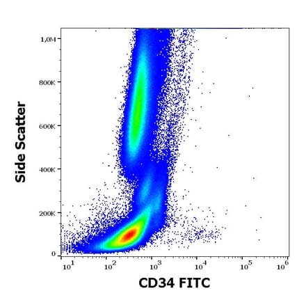 Flow Cytometry - Anti-CD34 Antibody [581] (FITC) (A85555)