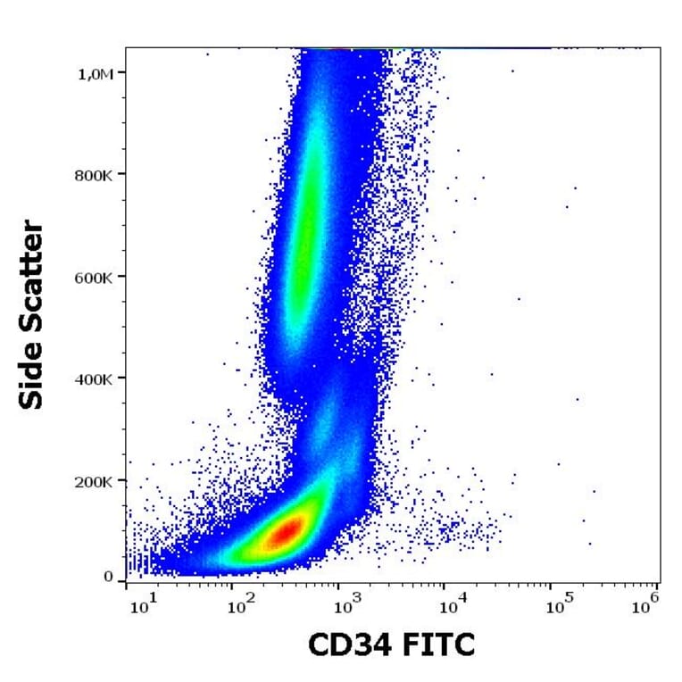 Flow Cytometry - Anti-CD34 Antibody [581] (FITC) (A85555)
