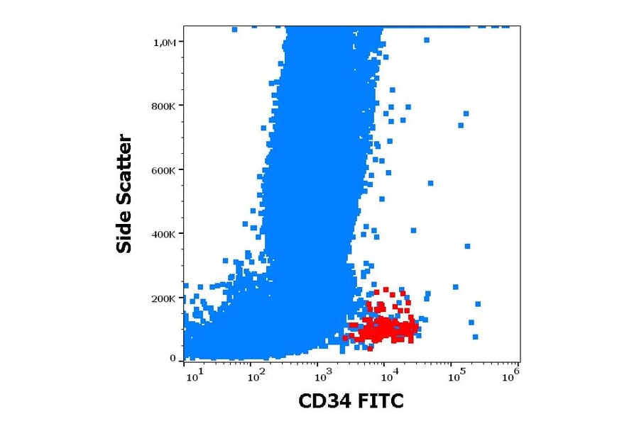Flow Cytometry - Anti-CD34 Antibody [581] (FITC) (A85555)
