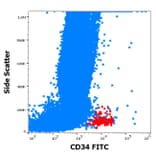 Flow Cytometry - Anti-CD34 Antibody [581] (FITC) (A85555)