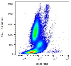 Flow Cytometry - Anti-CD34 Antibody [581] (FITC) (A85554) - Antibodies.com