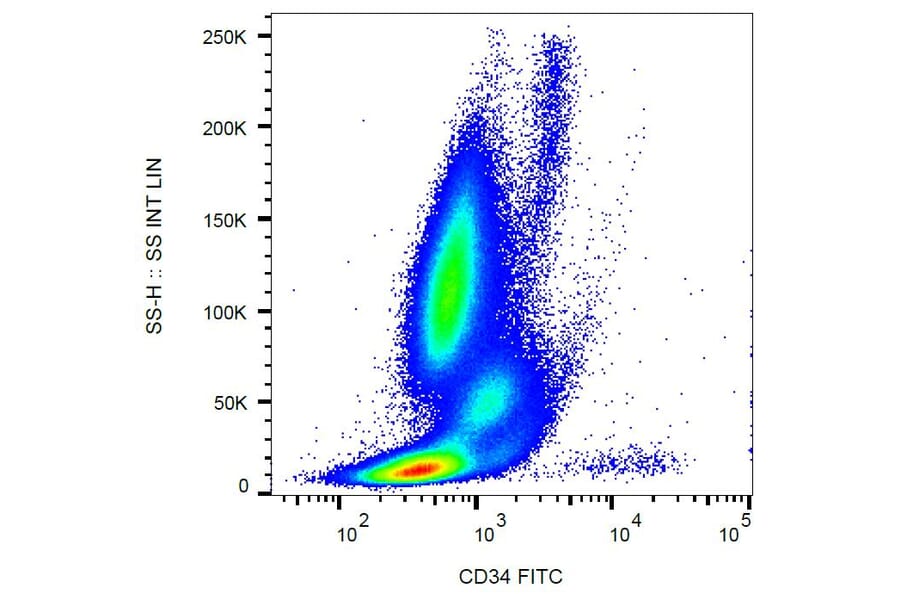 Flow Cytometry - Anti-CD34 Antibody [581] (FITC) (A85554) - Antibodies.com