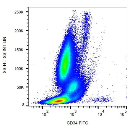 Flow Cytometry - Anti-CD34 Antibody [581] (FITC) (A85554) - Antibodies.com