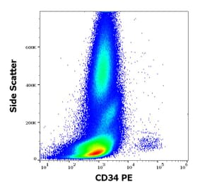 Flow Cytometry - Anti-CD34 Antibody [581] (PE) (A85556)