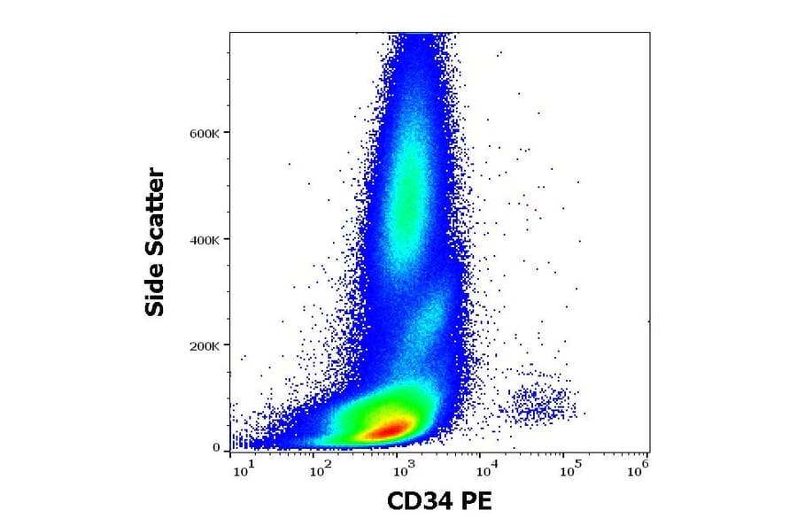 Flow Cytometry - Anti-CD34 Antibody [581] (PE) (A85556)