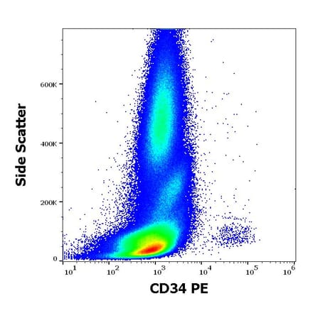 Flow Cytometry - Anti-CD34 Antibody [581] (PE) (A85556)
