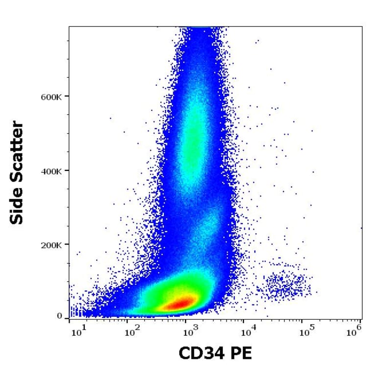 Flow Cytometry - Anti-CD34 Antibody [581] (PE) (A85556)
