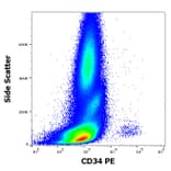 Flow Cytometry - Anti-CD34 Antibody [581] (PE) (A85556)