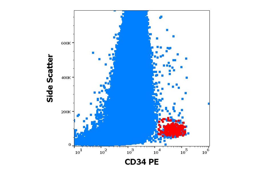 Flow Cytometry - Anti-CD34 Antibody [581] (PE) (A85556)