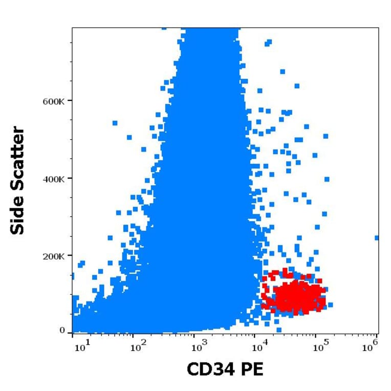 Flow Cytometry - Anti-CD34 Antibody [581] (PE) (A85556)
