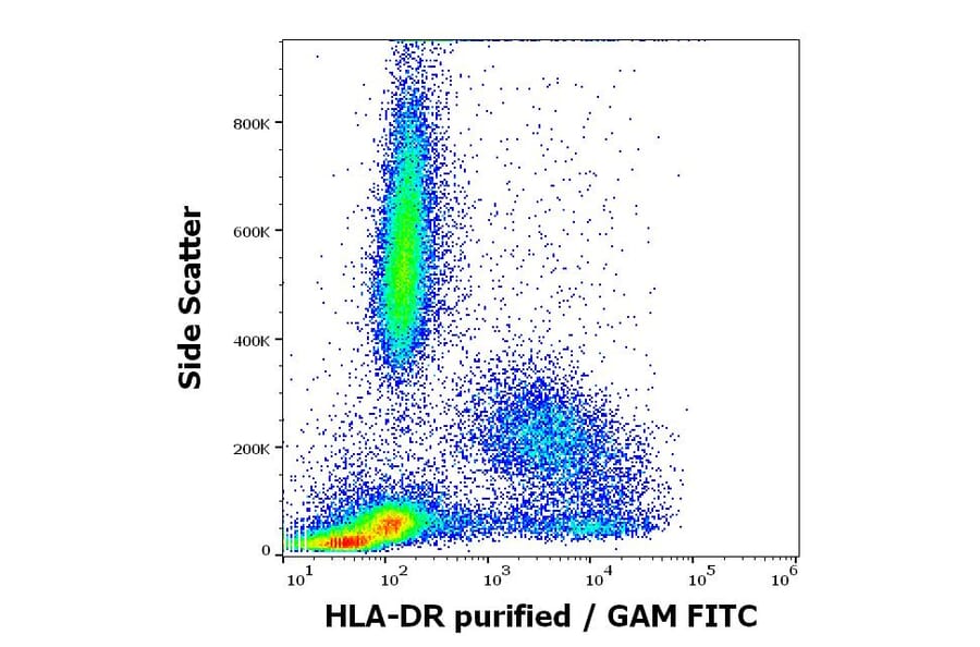 Flow Cytometry - Anti-HLA DR Antibody [HL-39] (A85559)