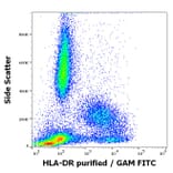 Flow Cytometry - Anti-HLA DR Antibody [HL-39] (A85559)