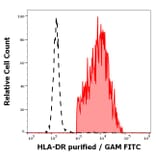 Flow Cytometry - Anti-HLA DR Antibody [HL-39] (A85559)