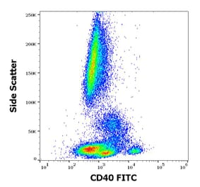 Flow Cytometry - Anti-CD40 Antibody [HI40a] (FITC) (A85476) - Antibodies.com