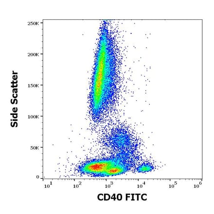 Flow Cytometry - Anti-CD40 Antibody [HI40a] (FITC) (A85476) - Antibodies.com