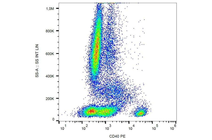 Flow Cytometry - Anti-CD40 Antibody [HI40a] (PE) (A85561)