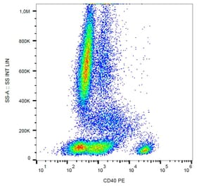 Flow Cytometry - Anti-CD40 Antibody [HI40a] (PE) (A85558) - Antibodies.com