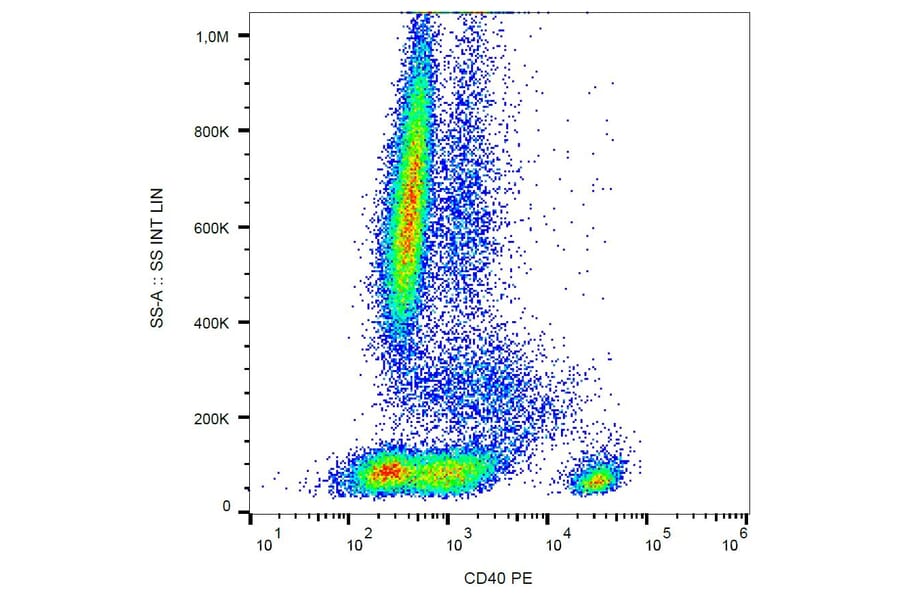 Flow Cytometry - Anti-CD40 Antibody [HI40a] (PE) (A85558) - Antibodies.com